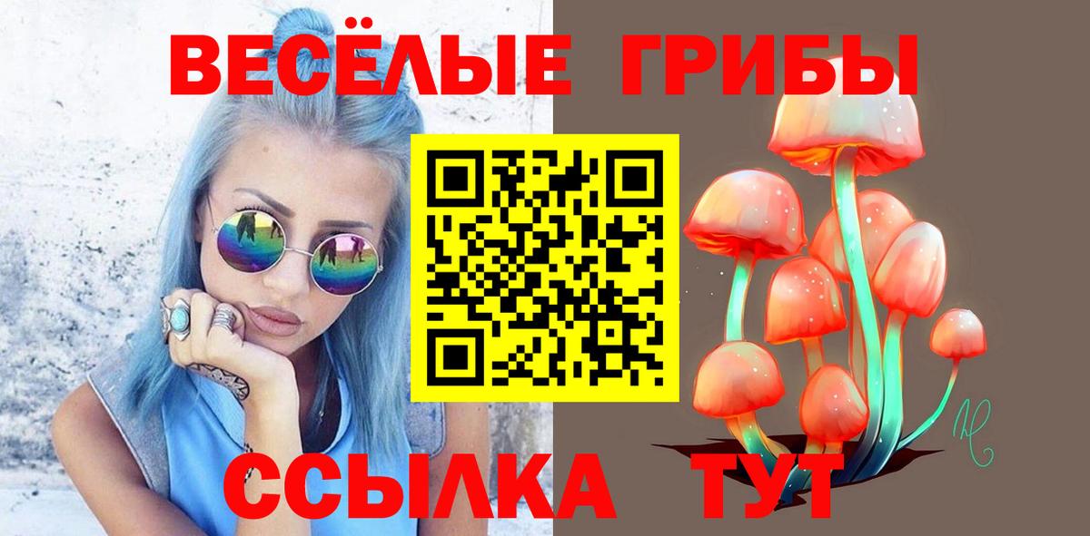 Новочебоксарск  Псилоцибиновые грибы мицелий  Галлюциногенные грибы ЛСД  Вход с VPN 