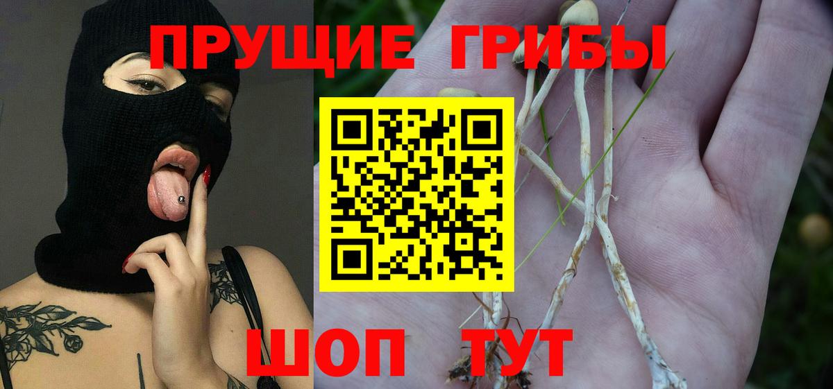 Галлюциногенные грибы Cubensis Новочебоксарск
